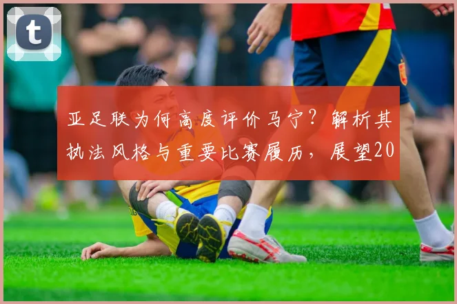 亚足联为何高度评价马宁？解析其执法风格与重要比赛履历，展望2026世界杯前景